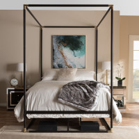 Baxton Studio TS-Eva-Black-Queen Eva Vintage Industrial Black Finished Metal Canopy Queen Bed